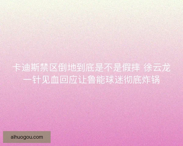 卡迪斯禁区倒地到底是不是假摔 徐云龙一针见血回应让鲁能球迷彻底炸锅 卡迪斯禁区倒地到底是不是假摔 徐云龙一针见血回应让鲁能球迷彻底炸锅